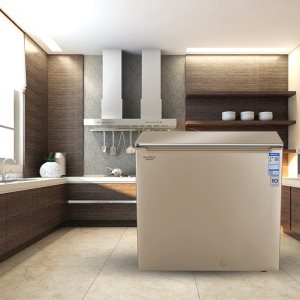 Ларь морозильный AUCMA BD 206GEX - Изображение 3